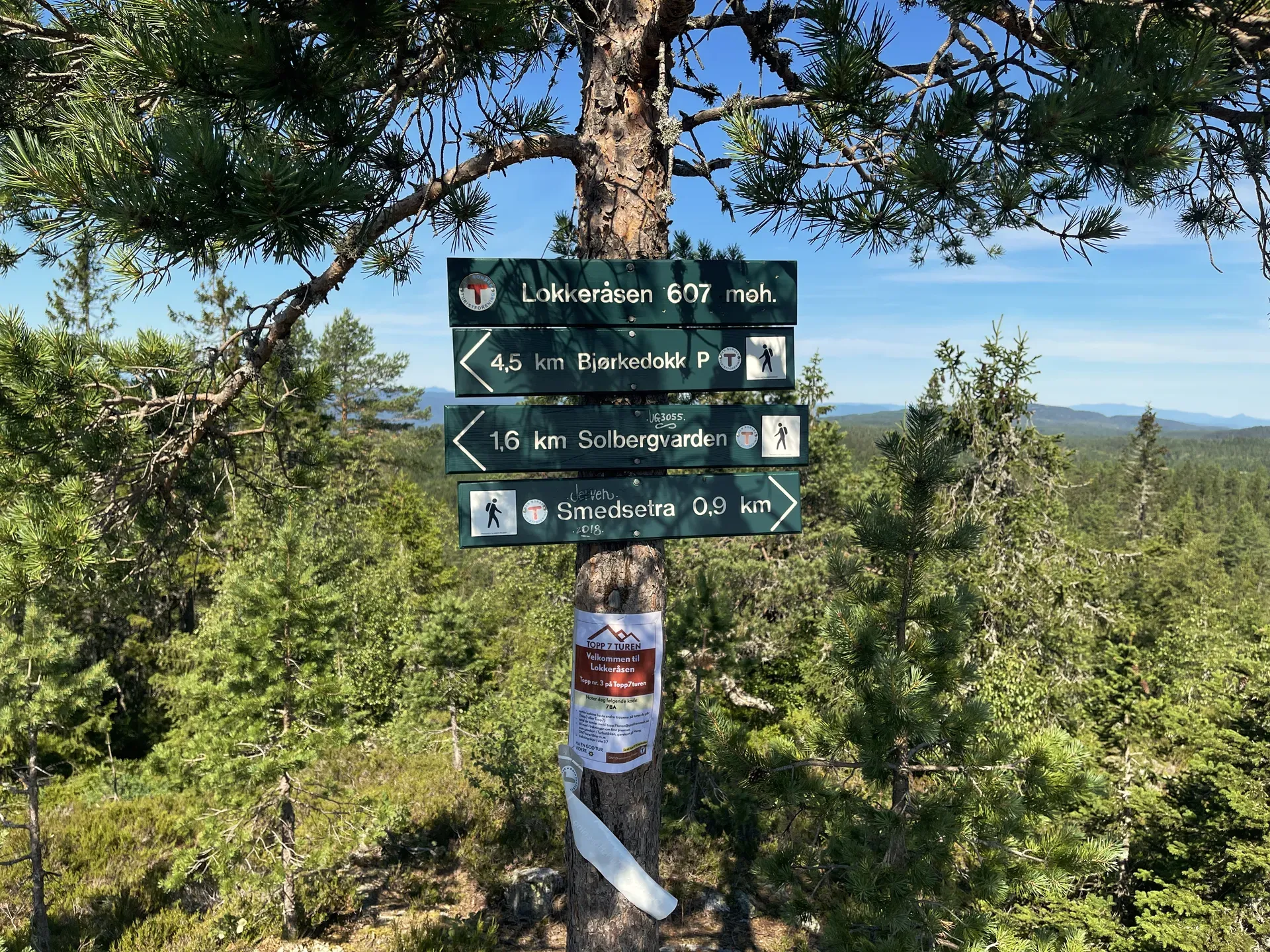 Lokkeråsen