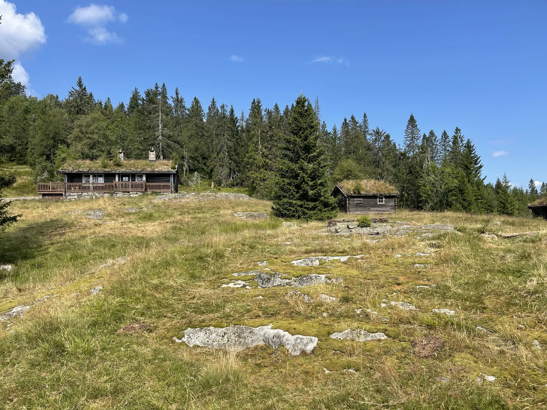 Vestskauen