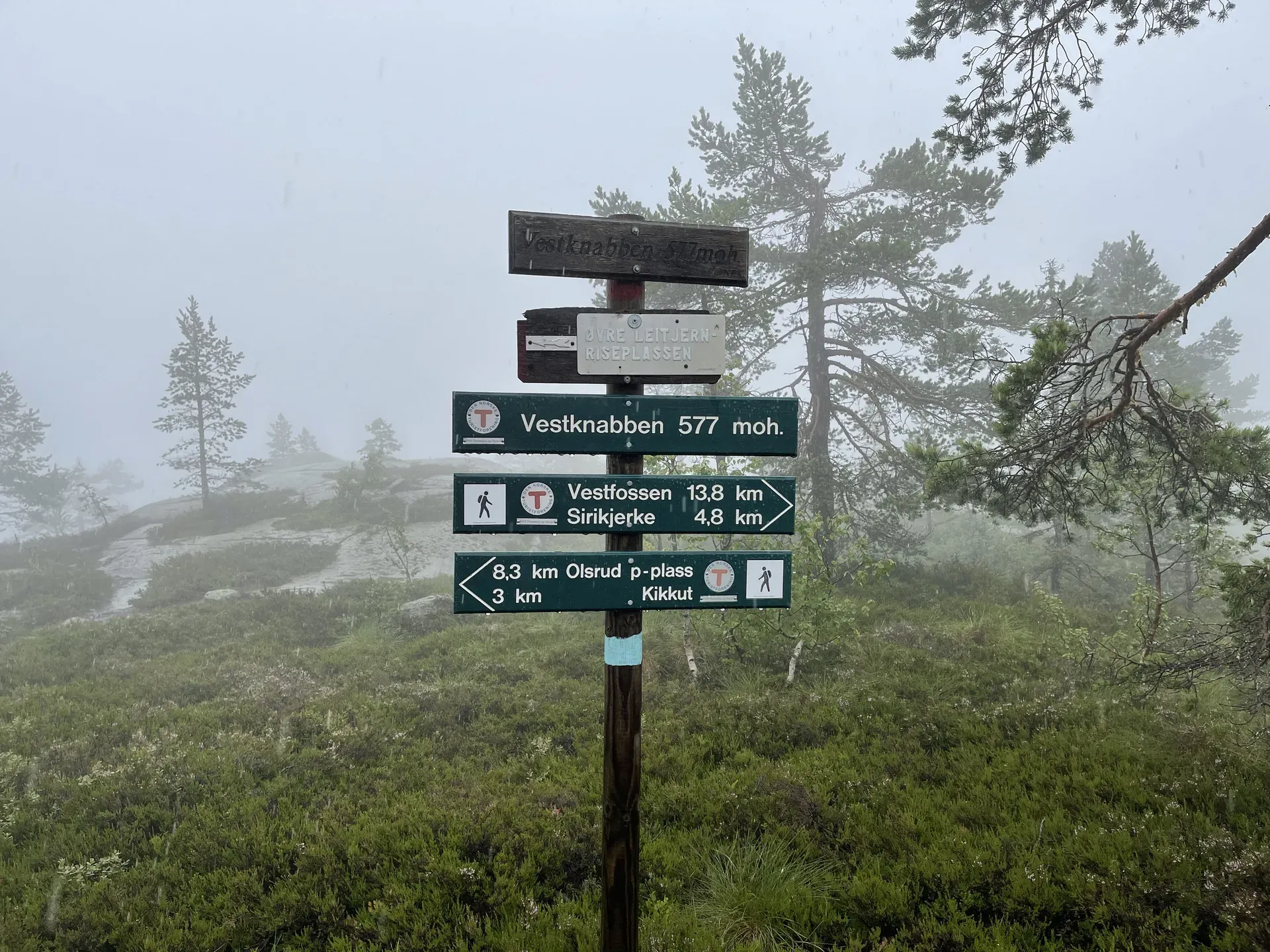 Leitjern og Vestknabben