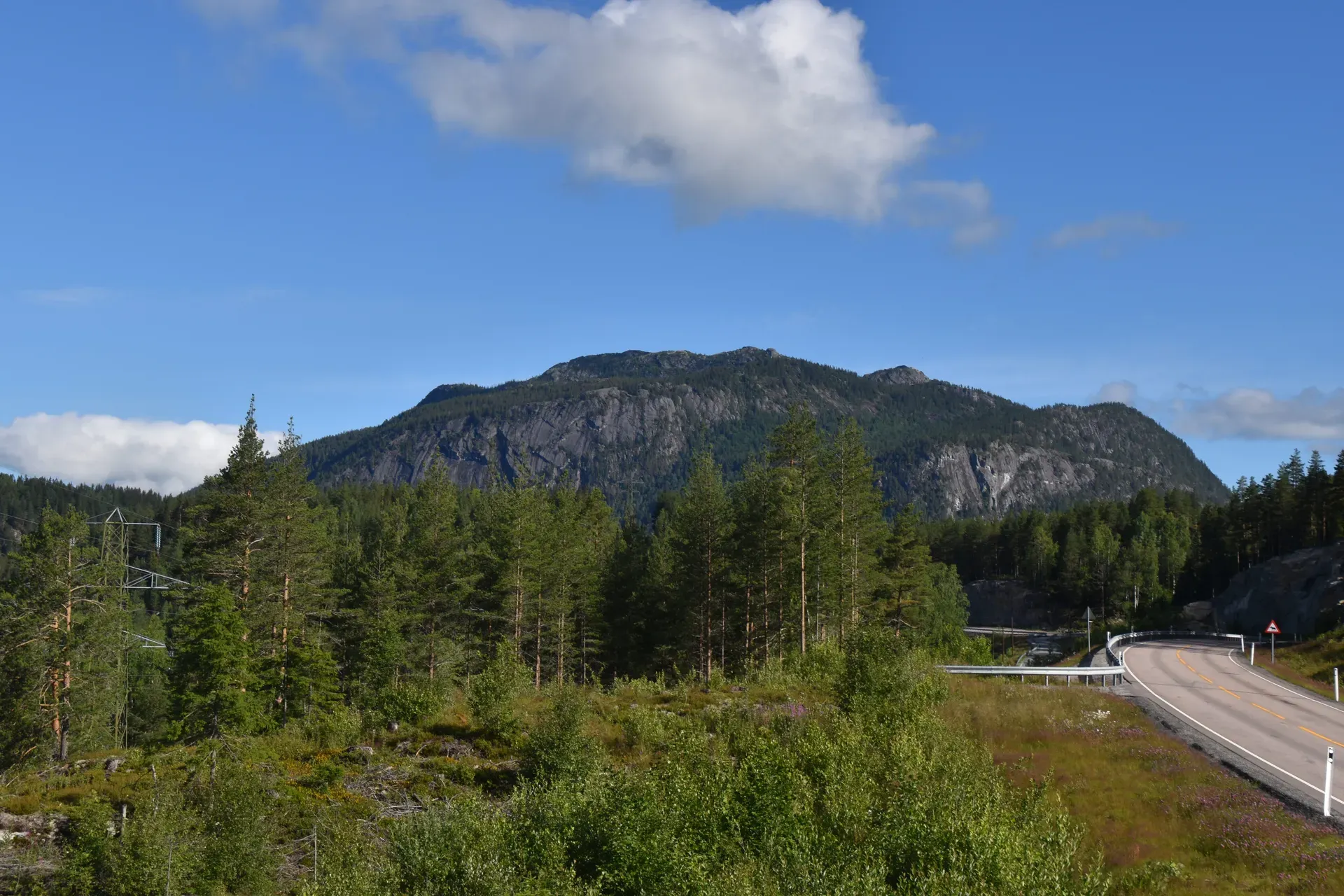 Skagsåsen