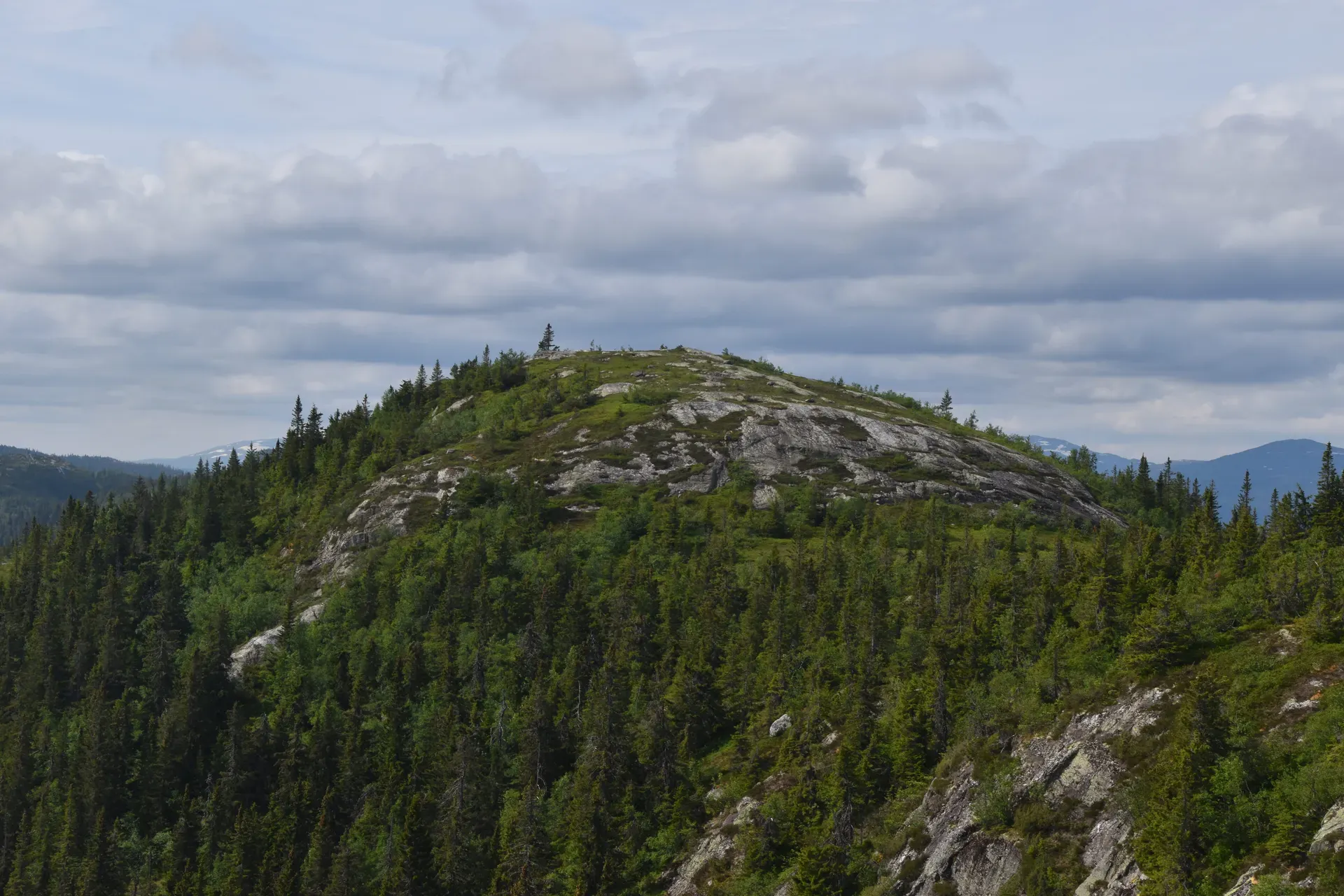 Den Runde kollen