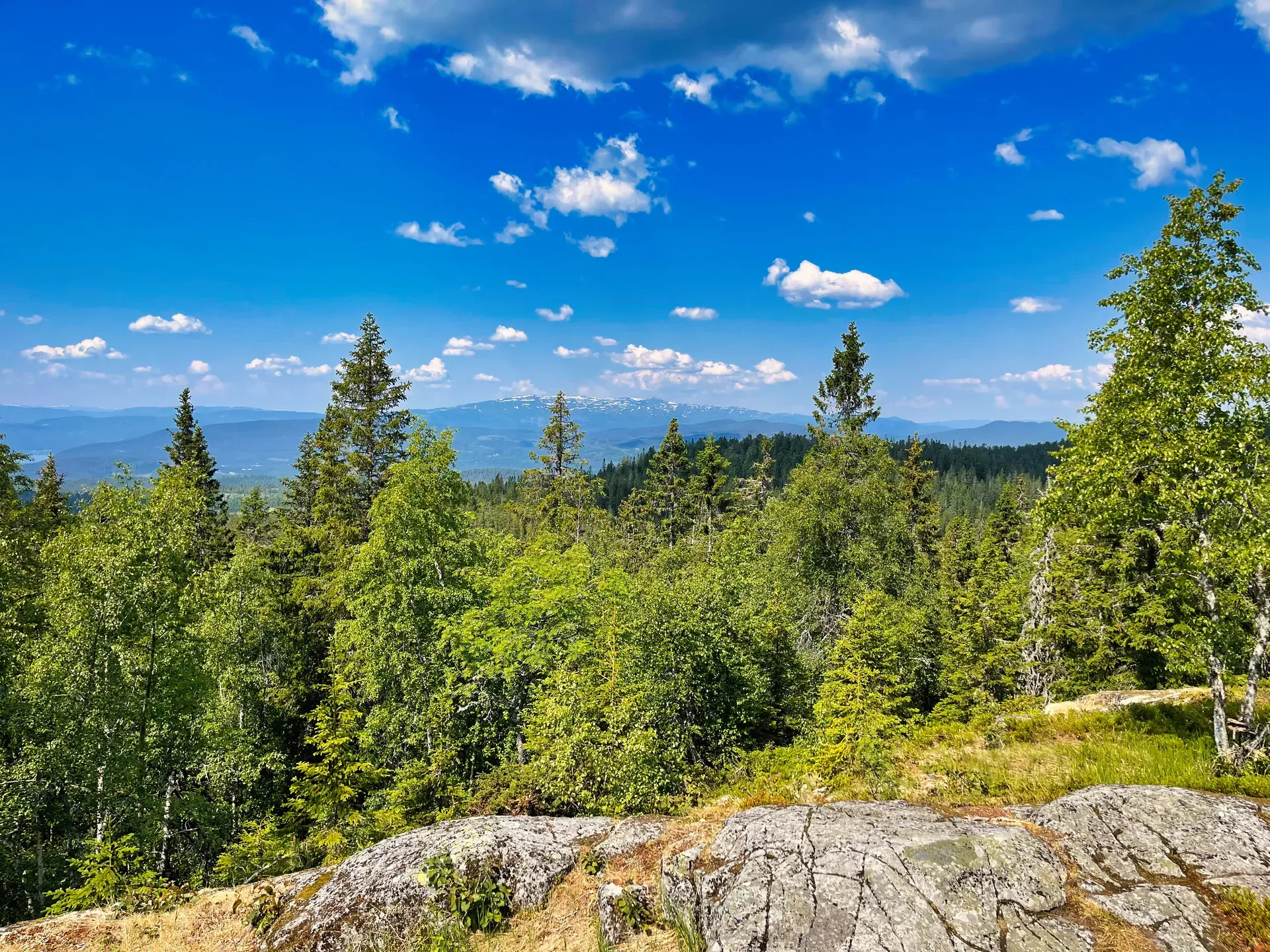 Rudskollen