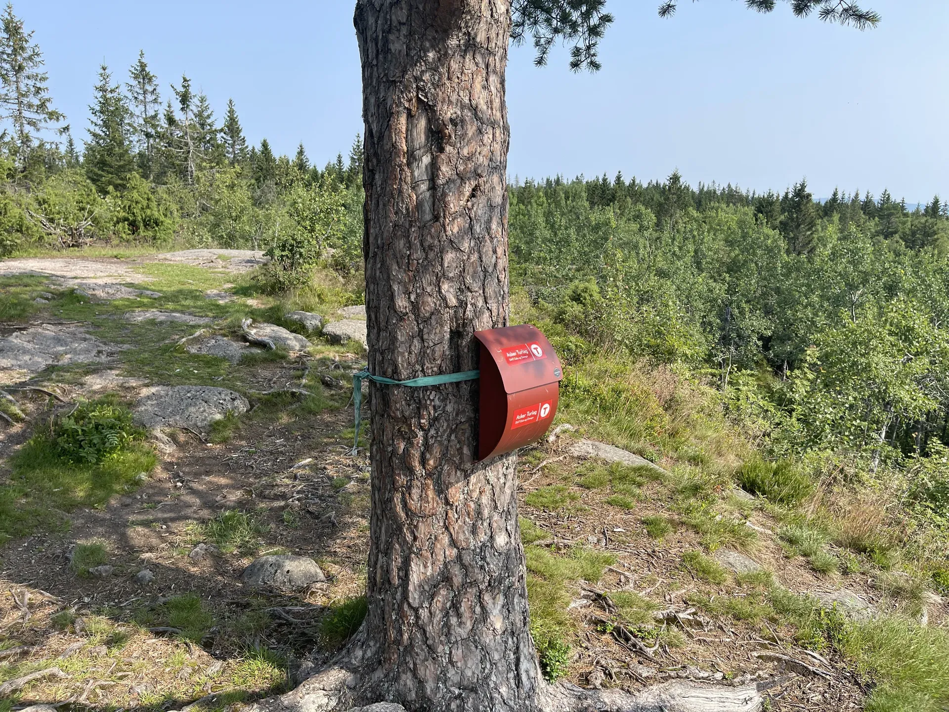 Sandungen og Bergsåsen