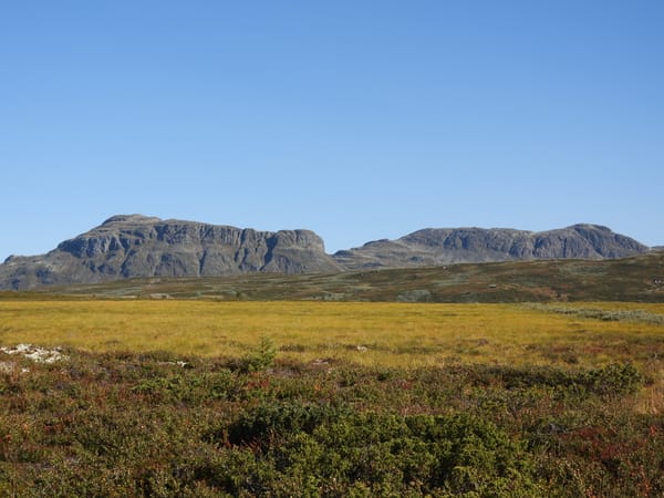 Lauvdalsbrea