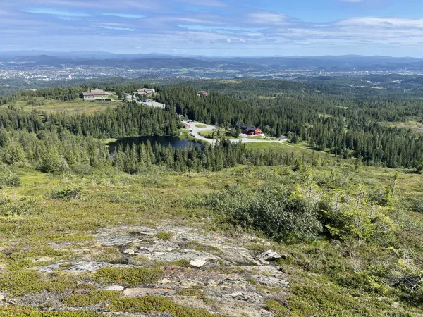 Gråkallen