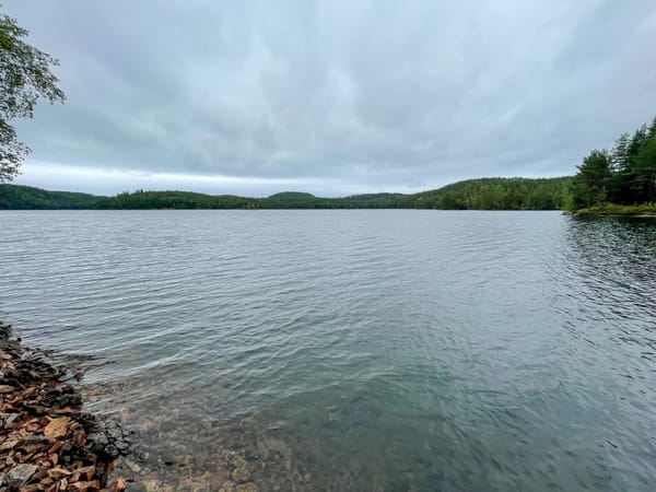 Røysjømarka