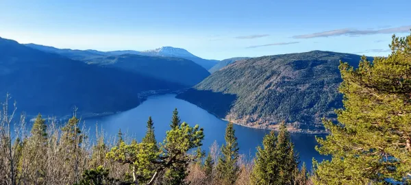 Gjuvhovd
