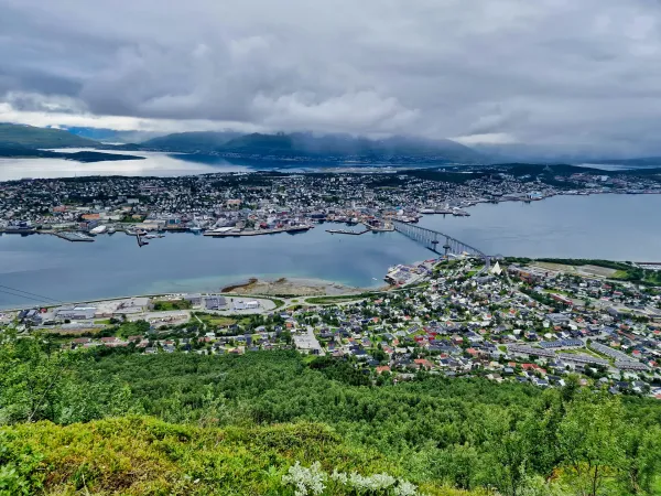 Fløya