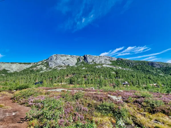 Himingen