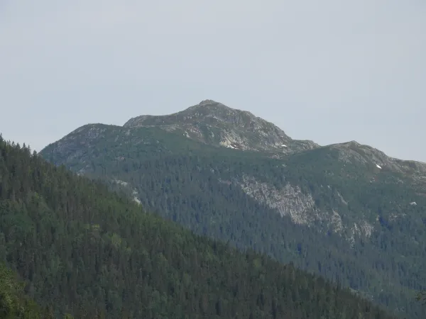 Byggjingen