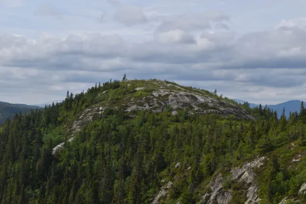 Den Runde kollen
