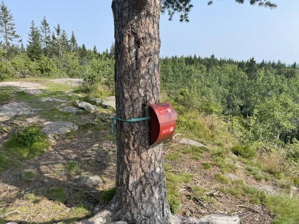 Sandungen og Bergsåsen