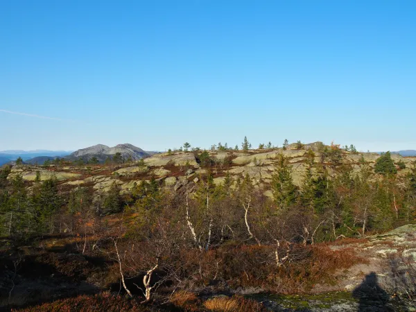 Åhomnuten